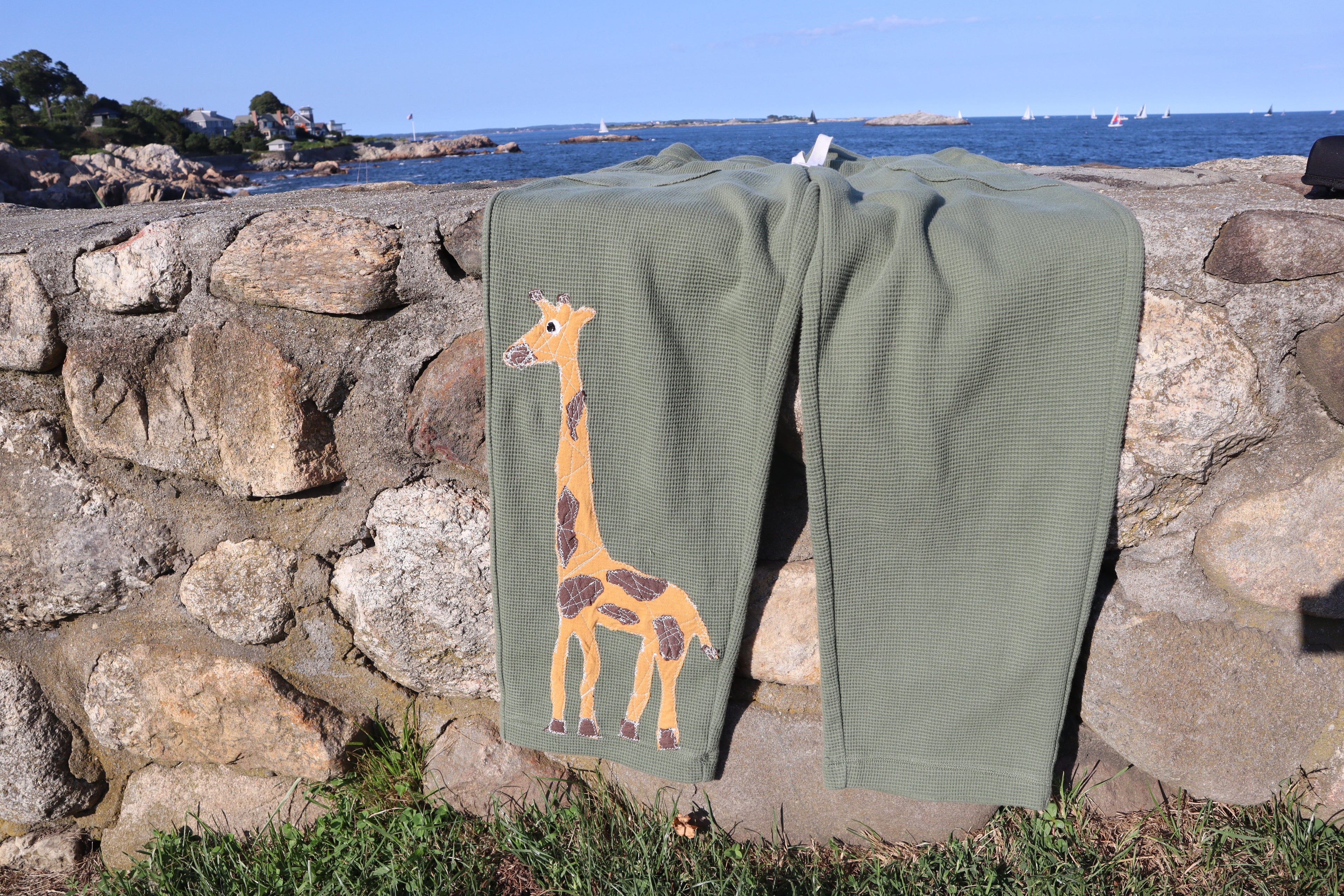 1 of 1 Giraffe Pants